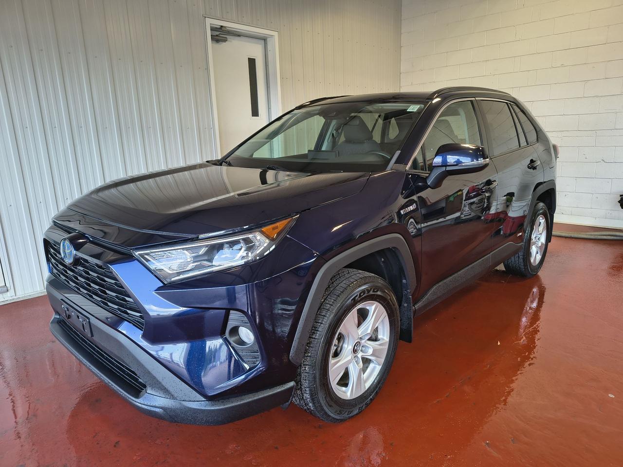 2019 Toyota RAV4 Hybrid XLE Photo0