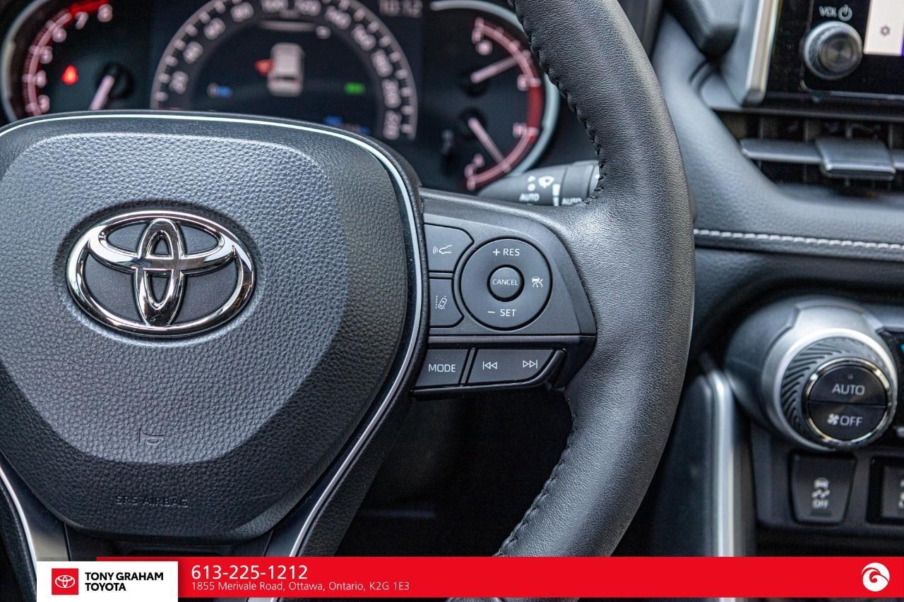 2025 Toyota RAV4 XLE Photo