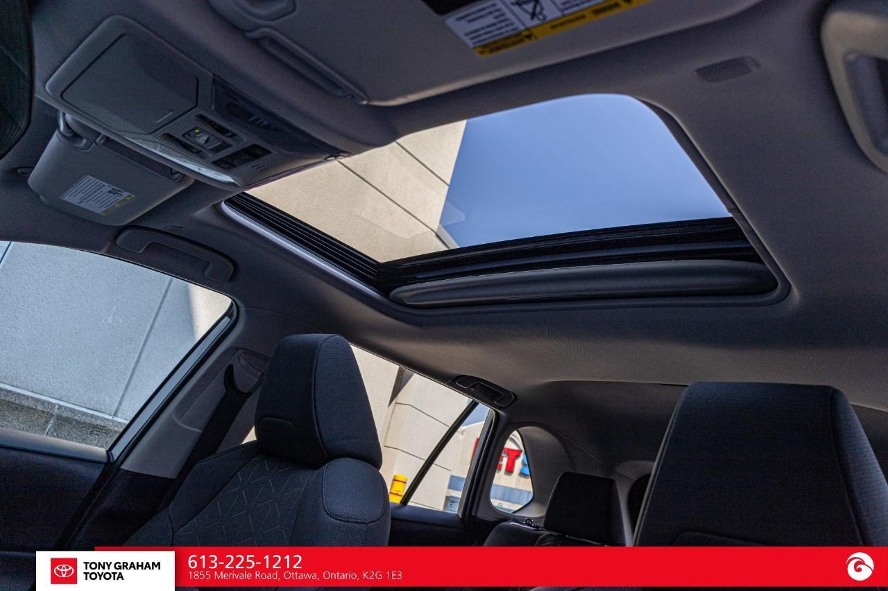 2025 Toyota RAV4 XLE Photo