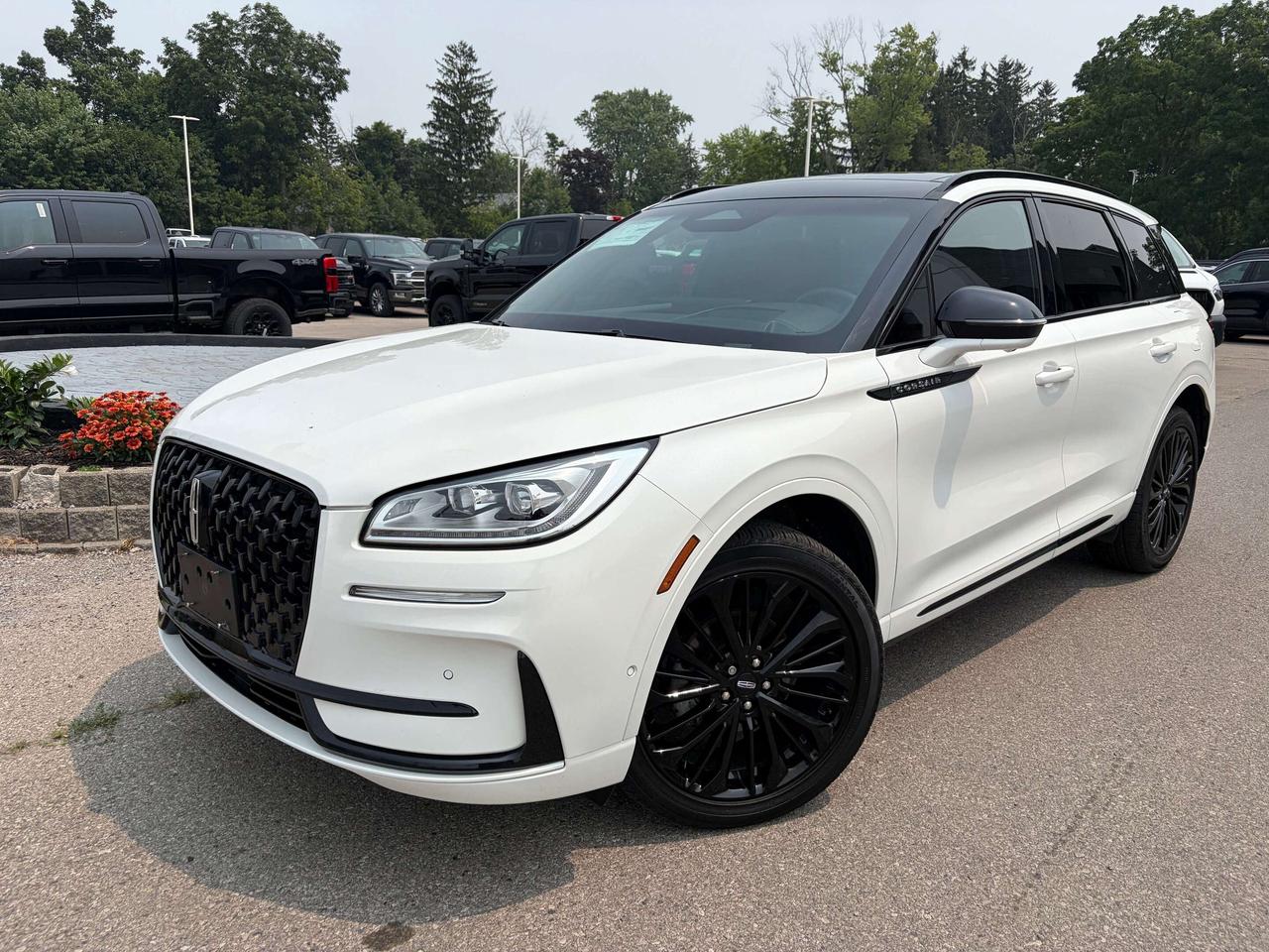Used 2023 Lincoln Corsair Reserve AWD for sale in Caledonia, ON