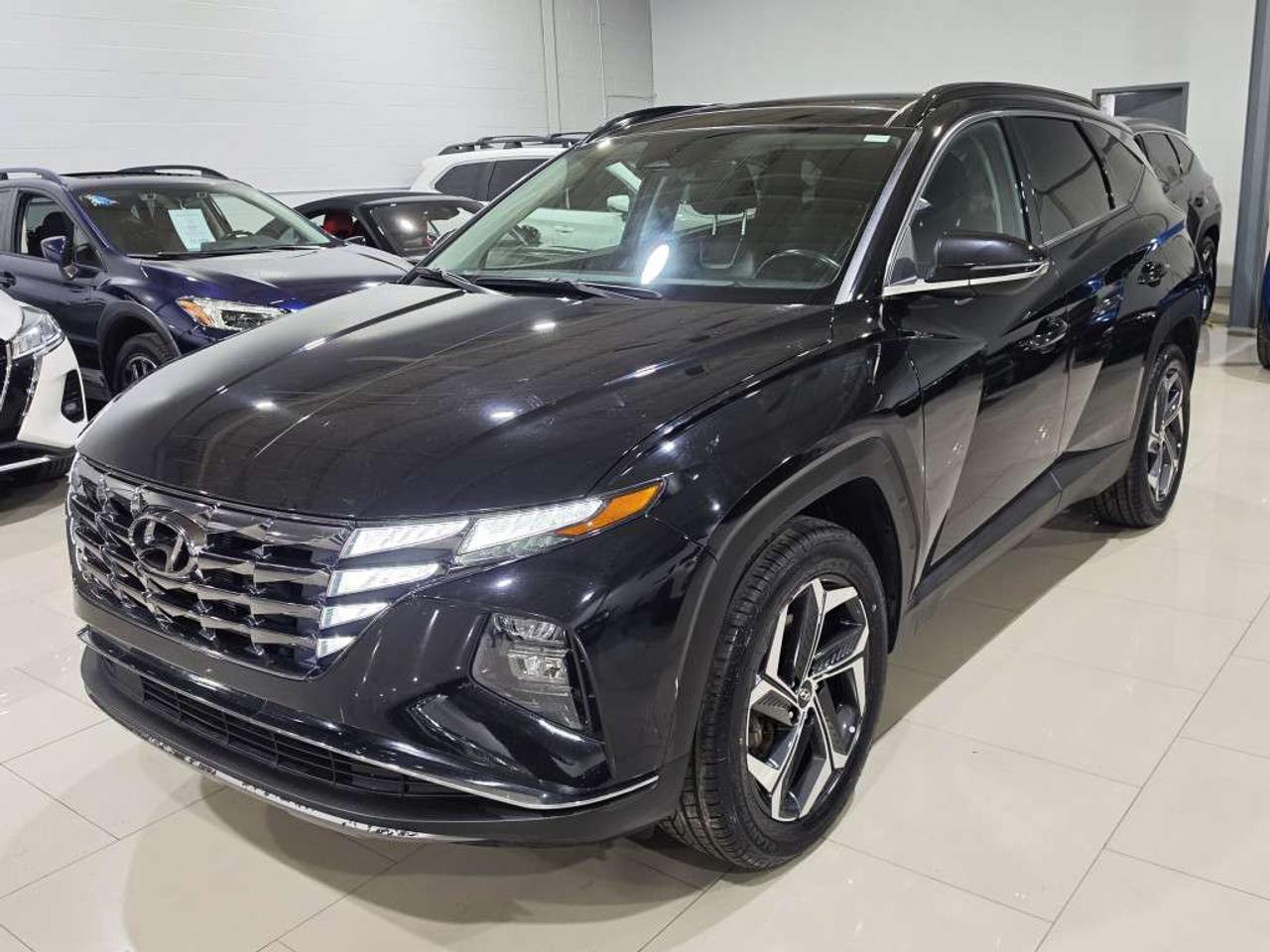 2023 Hyundai Tucson Luxury HYBRID AWD 4 NEW TIRES NO ACCIDENT REMOTE STARTER LEATHER POWER LIFTGATE HEATED STEERING Photo