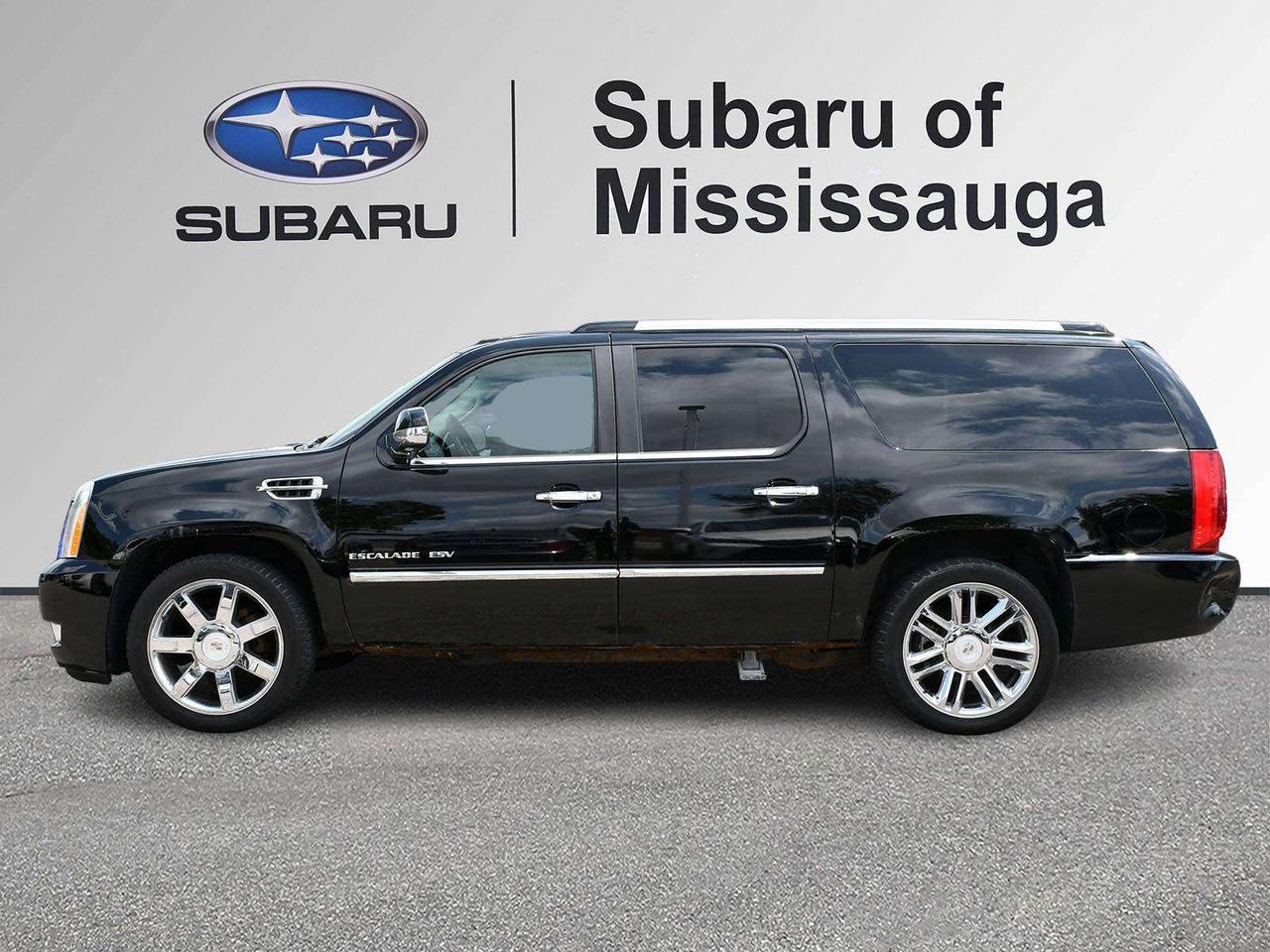 2010 Cadillac Escalade CLEAN CARFAX   27 SERVICE RECORDS   ASIS   SUNROOF Photo