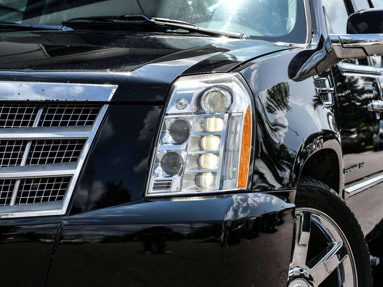 2010 Cadillac Escalade CLEAN CARFAX   27 SERVICE RECORDS   ASIS   SUNROOF Photo5