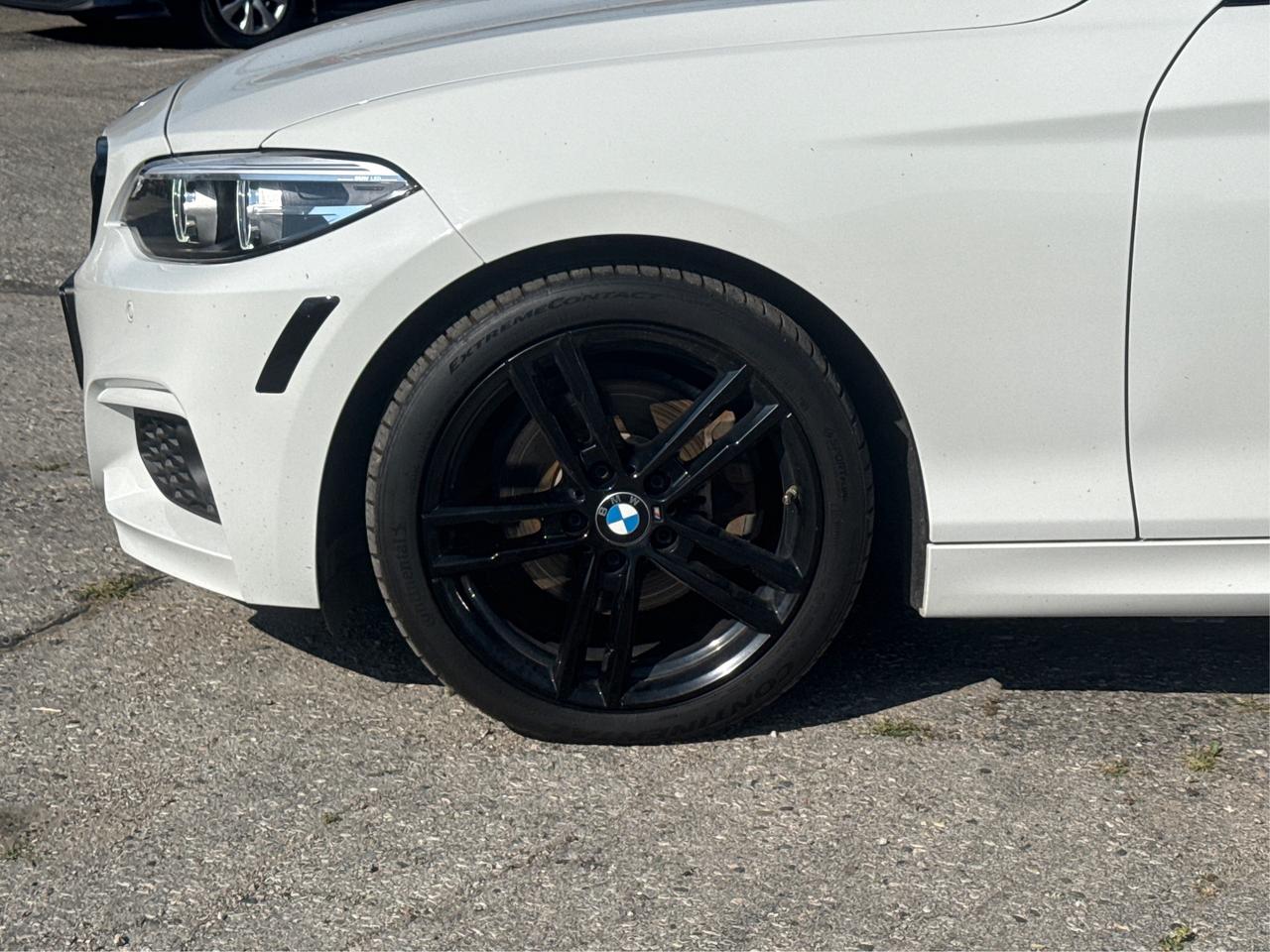 2020 BMW 2 Series SE Photo