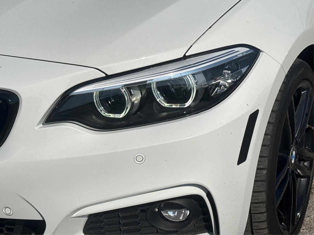 2020 BMW 2 Series SE Photo