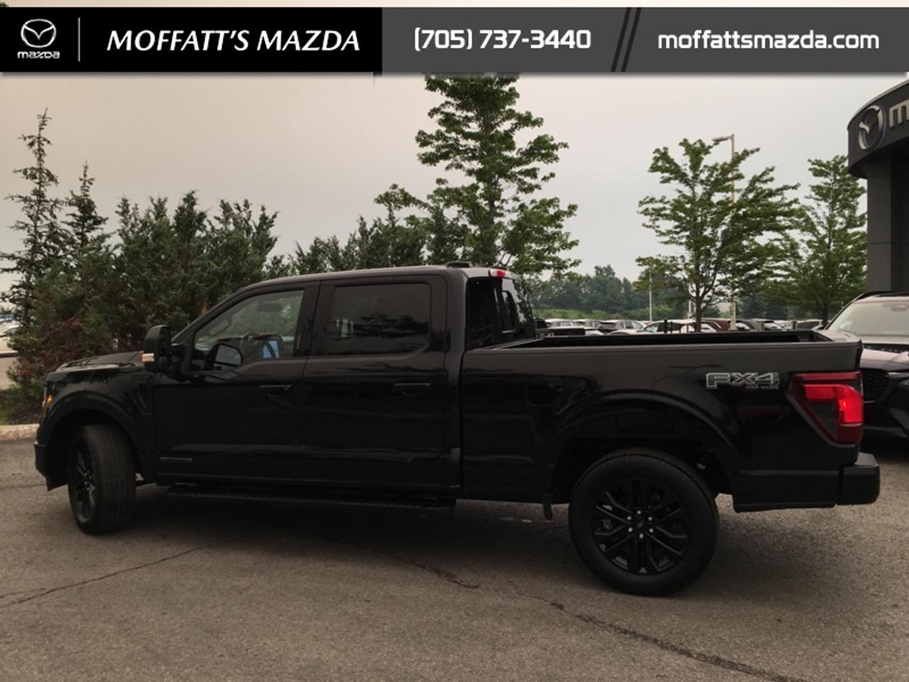 2024 Ford F-150 XLT Photo
