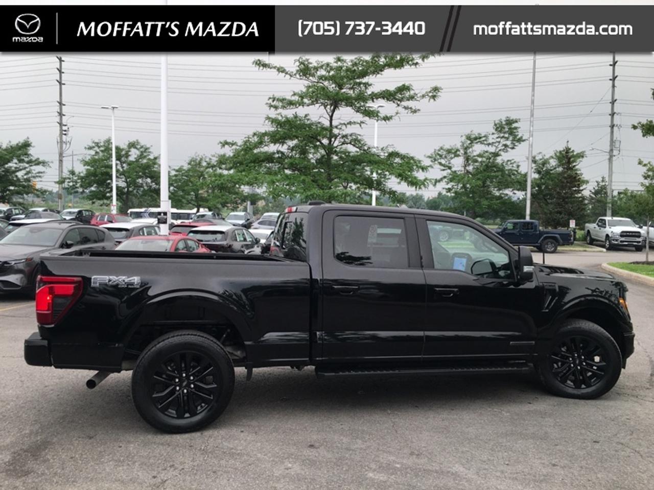 2024 Ford F-150 XLT Photo