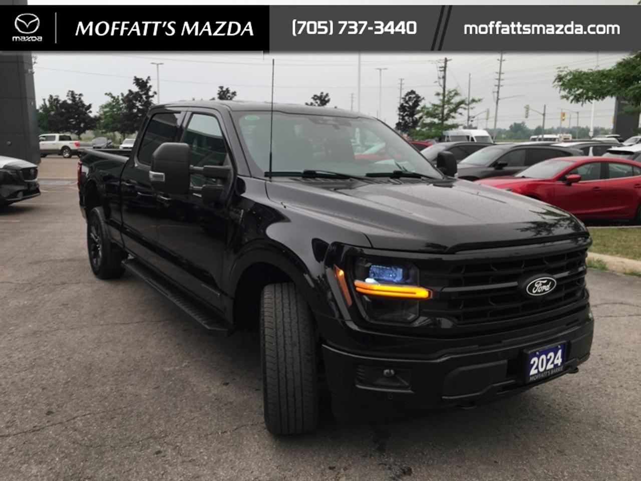 2024 Ford F-150 XLT Photo