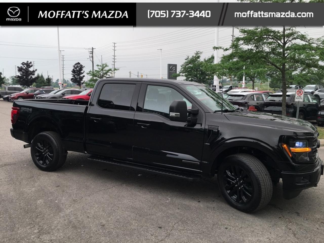 2024 Ford F-150 XLT Photo