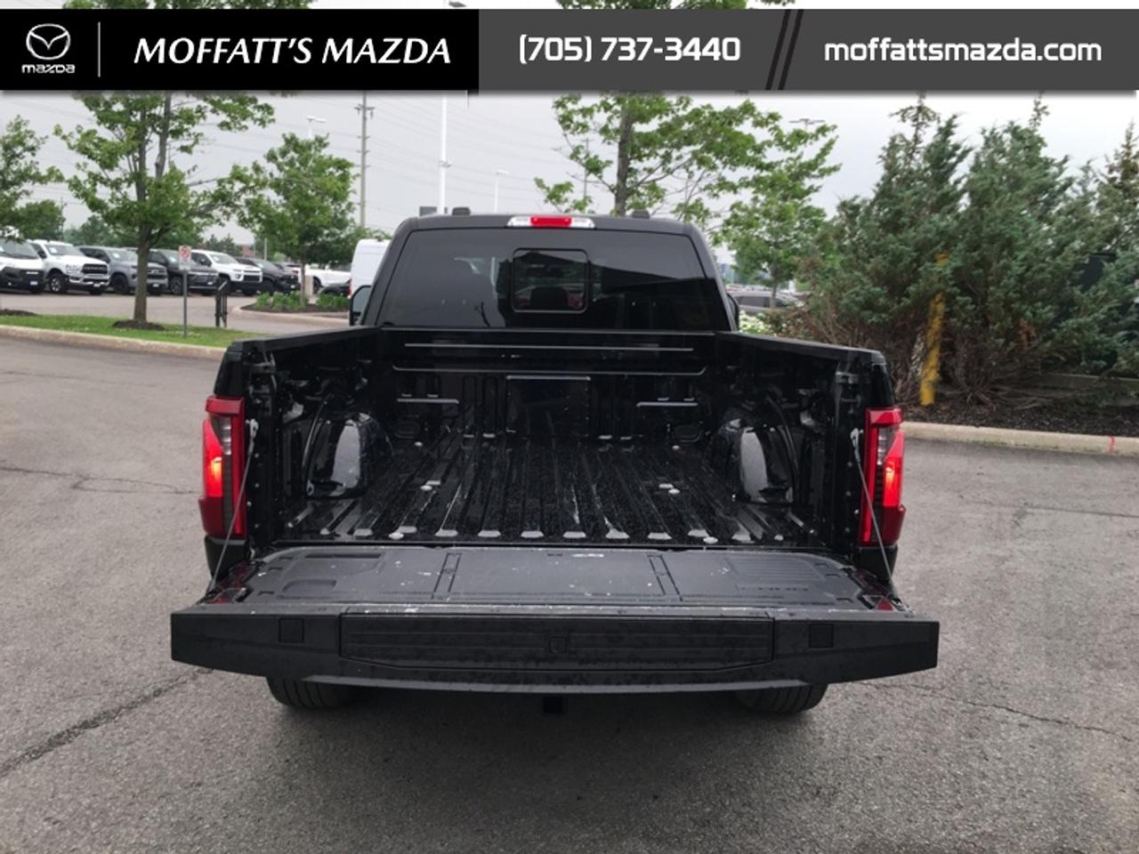 2024 Ford F-150 XLT Photo