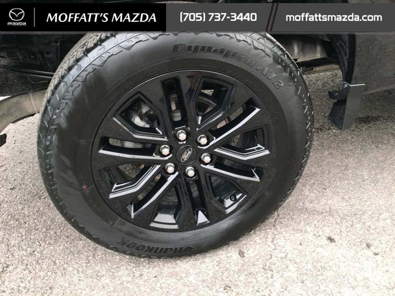 2024 Ford F-150 XLT Photo