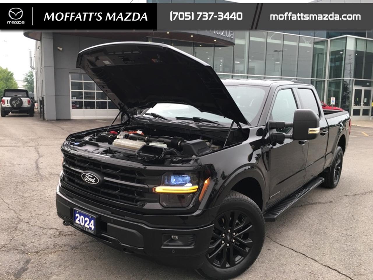 2024 Ford F-150 XLT Photo