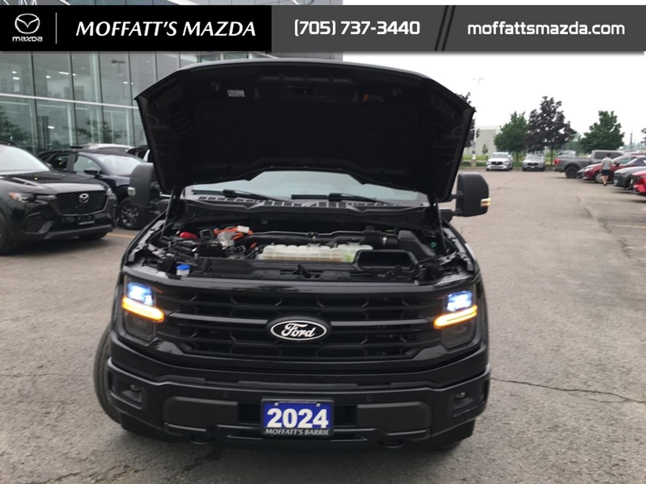 2024 Ford F-150 XLT Photo