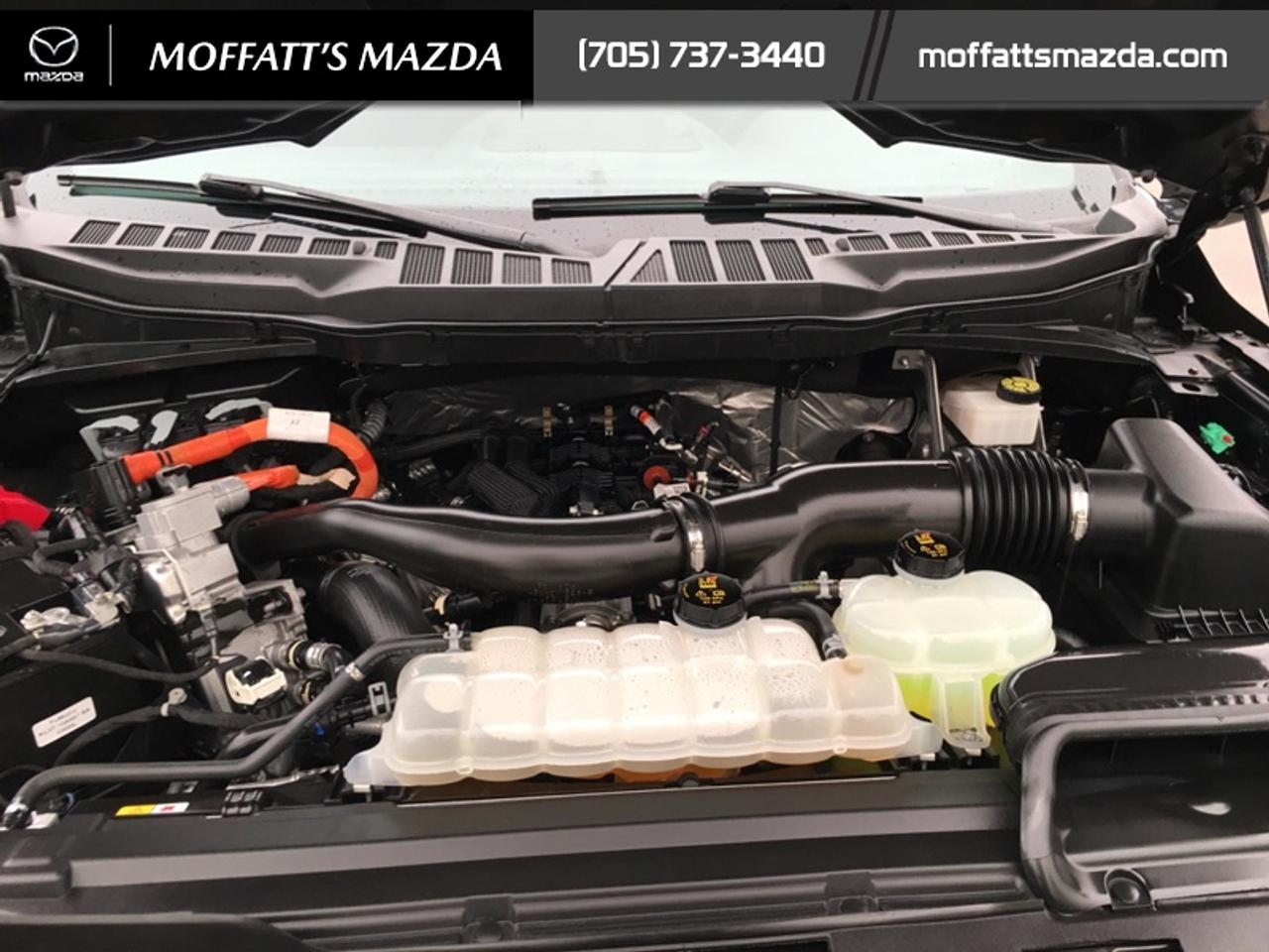 2024 Ford F-150 XLT Photo