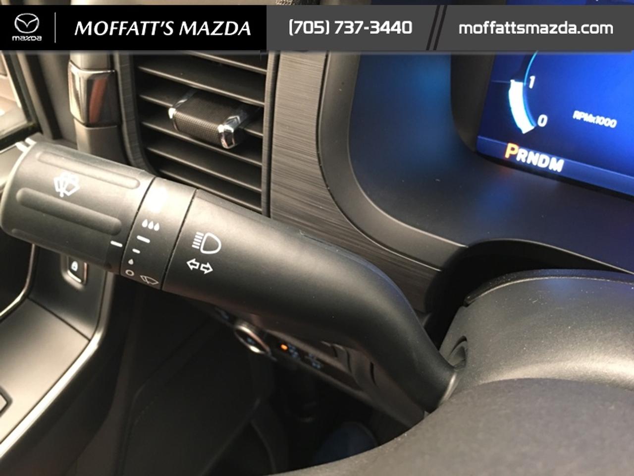 2024 Ford F-150 XLT Photo