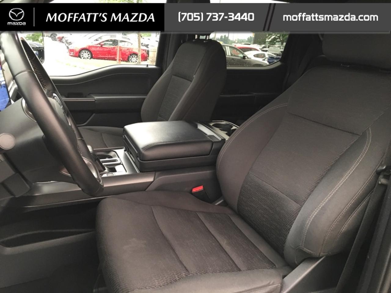 2024 Ford F-150 XLT Photo