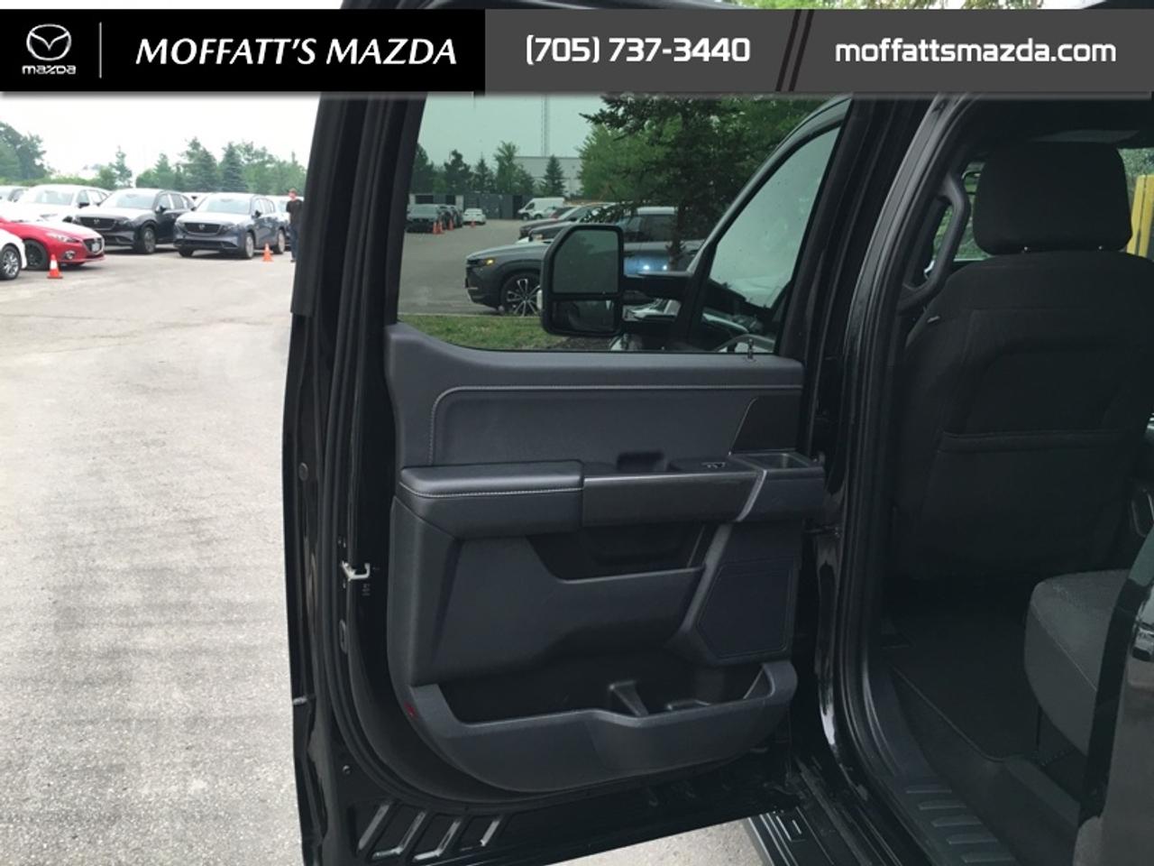 2024 Ford F-150 XLT Photo