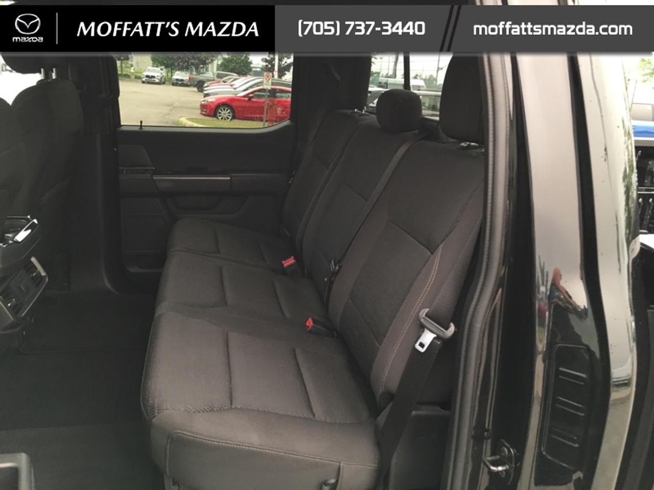 2024 Ford F-150 XLT Photo