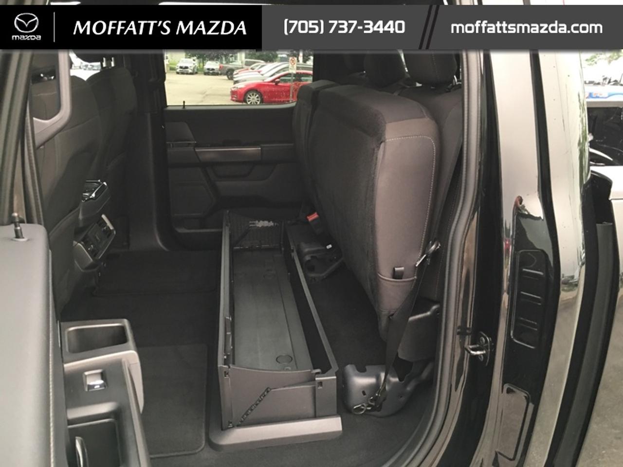 2024 Ford F-150 XLT Photo