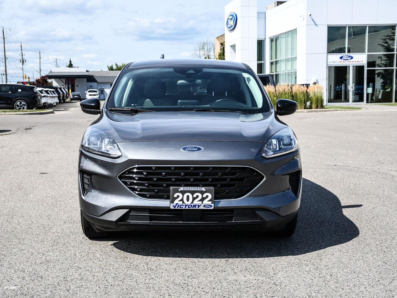 2022 Ford Escape SE AWD Photo