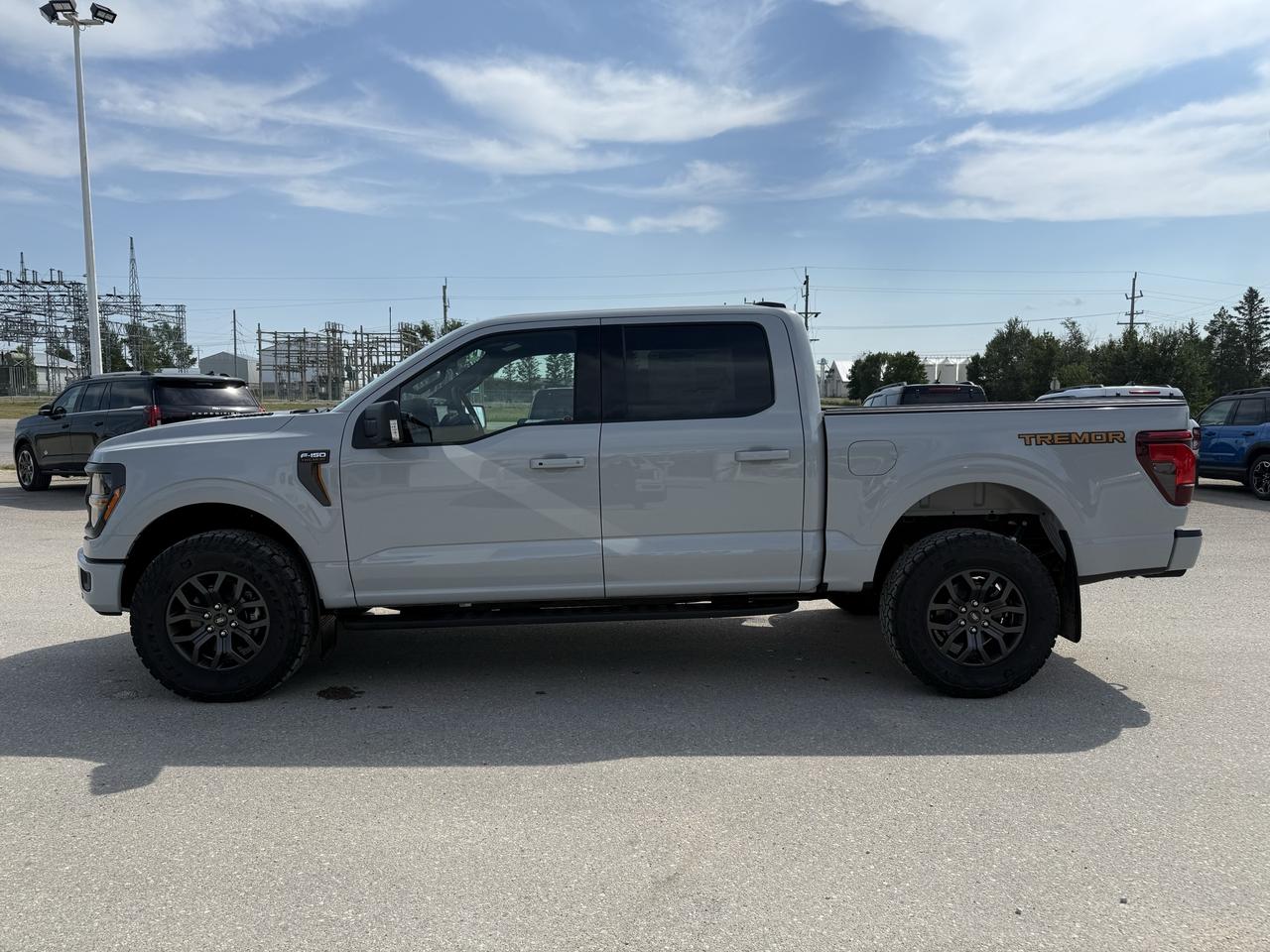 2026 Ford F-150 Tremor 4WD SuperCrew 5.5' Box Photo4
