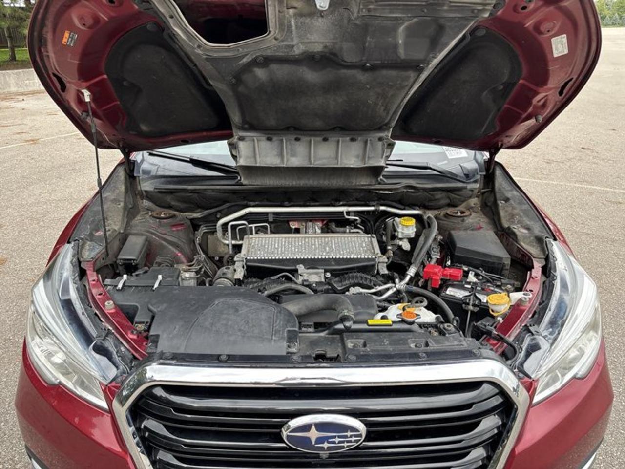 2019 Subaru ASCENT Premier 7-Passenger | No Accidents | Ventilated Seats Photo