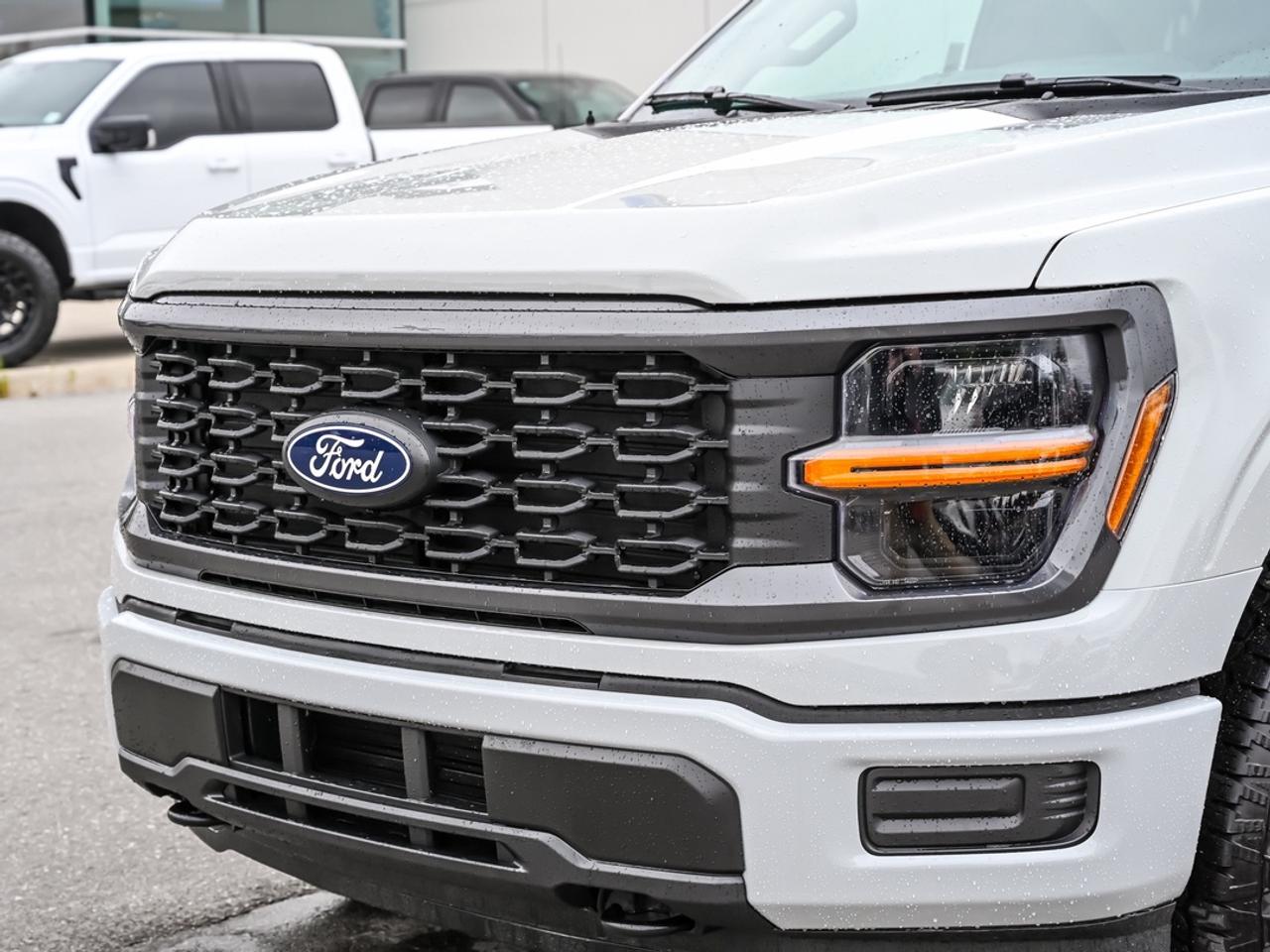 2026 Ford F-150 STX Photo