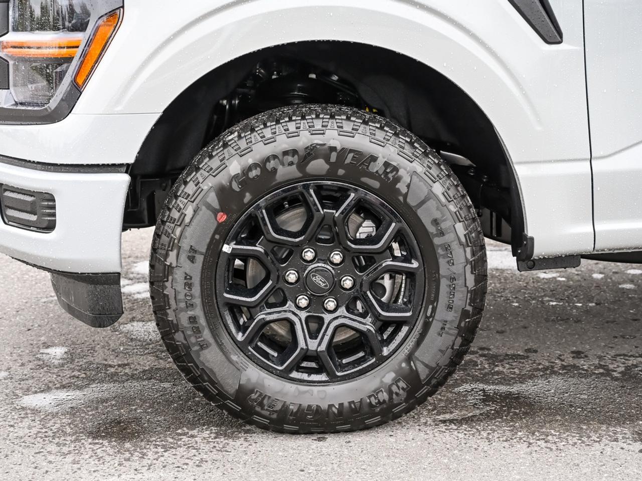 2026 Ford F-150 STX Photo
