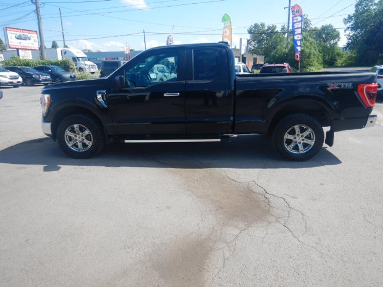 2023 Ford F-150 XLT Photo