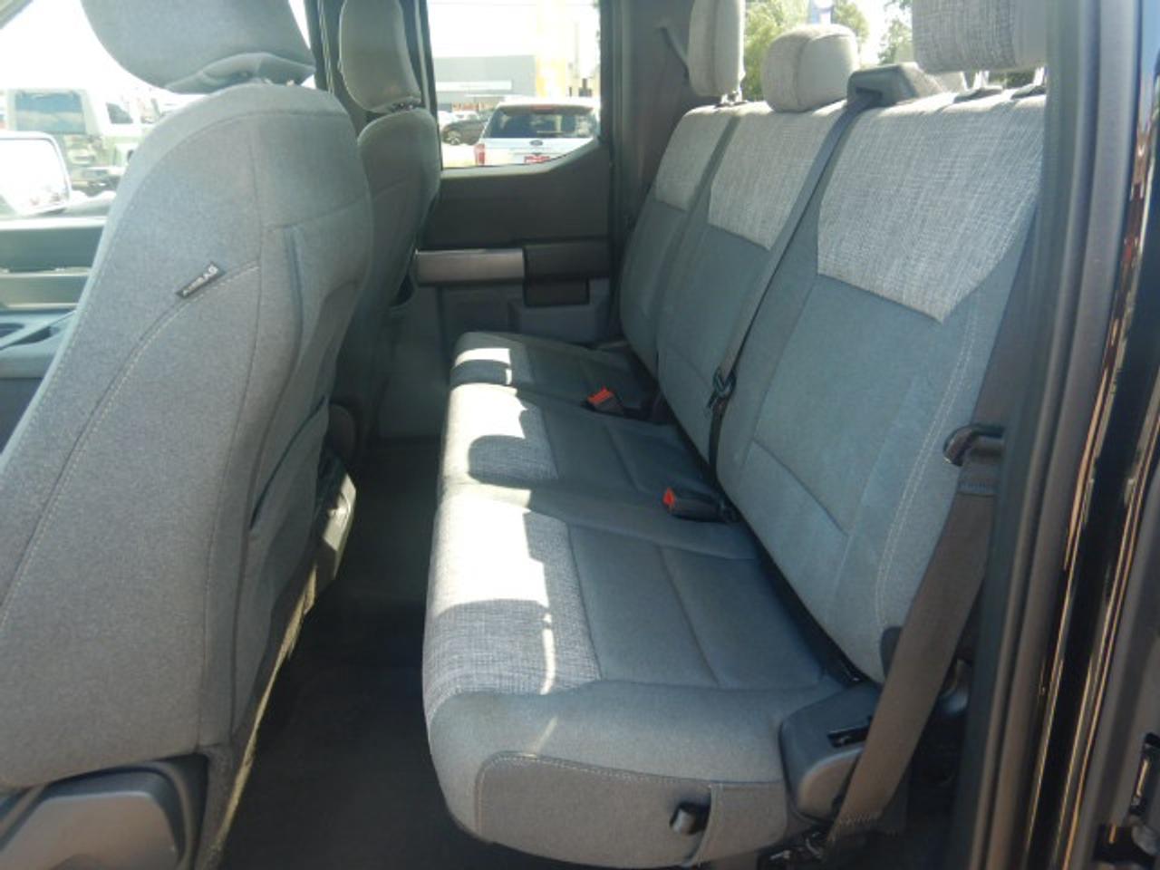 2023 Ford F-150 XLT Photo