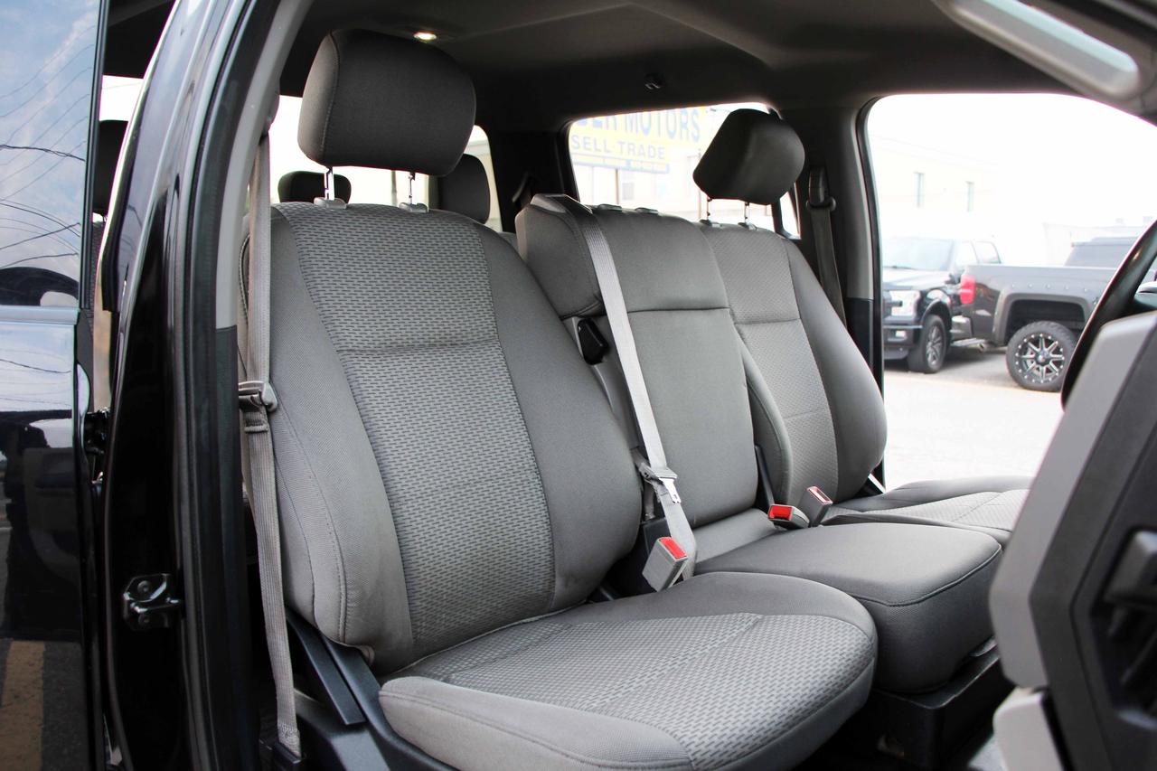 2020 Ford F-150 XLT 4X4 Photo