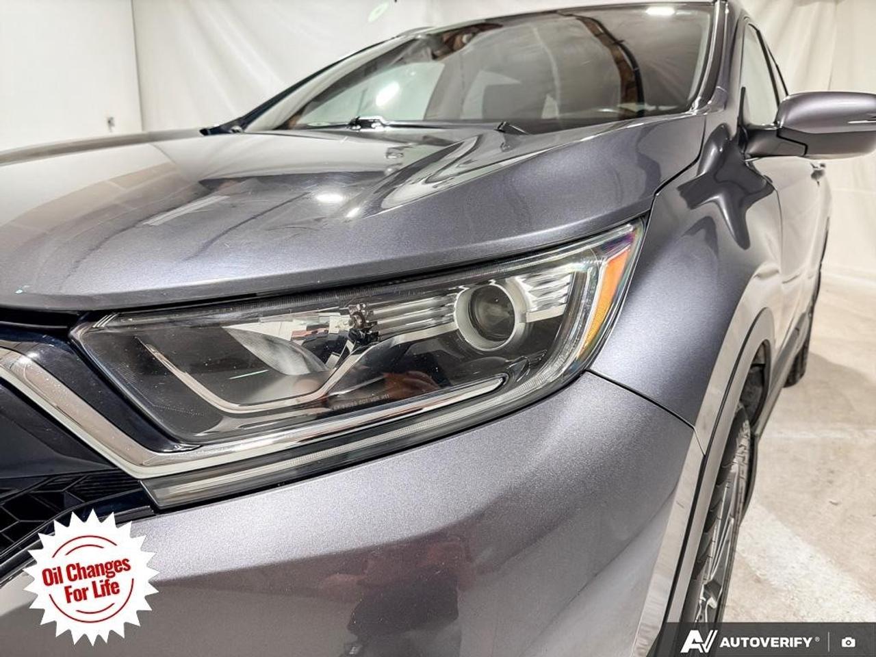 2021 Honda CR-V EX-L AWD Photo