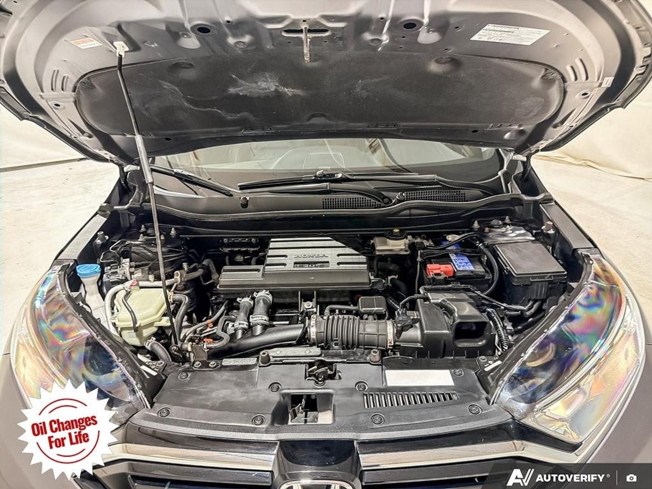 2021 Honda CR-V EX-L AWD Photo