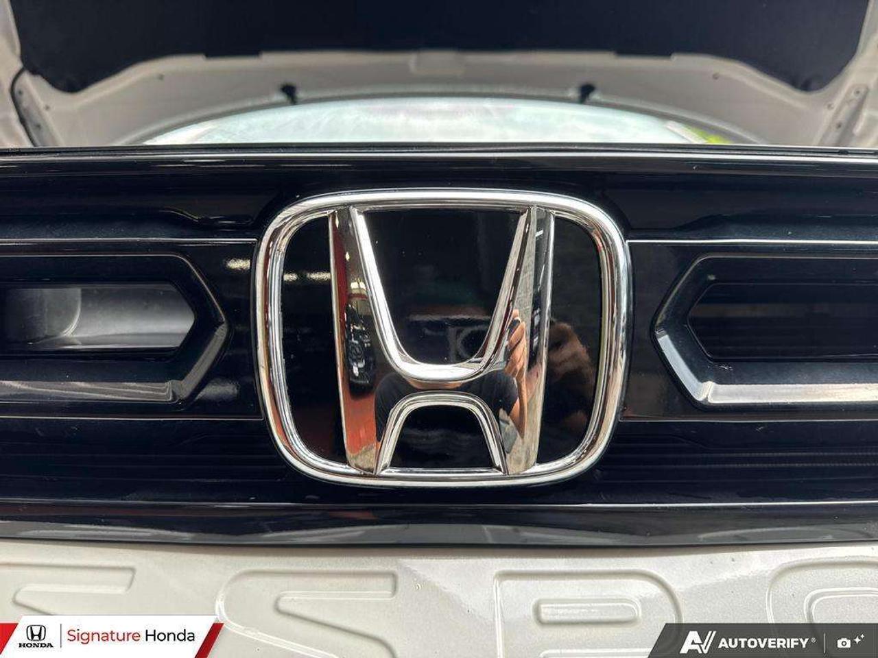 2026 Honda Passport TrailSport Touring Photo