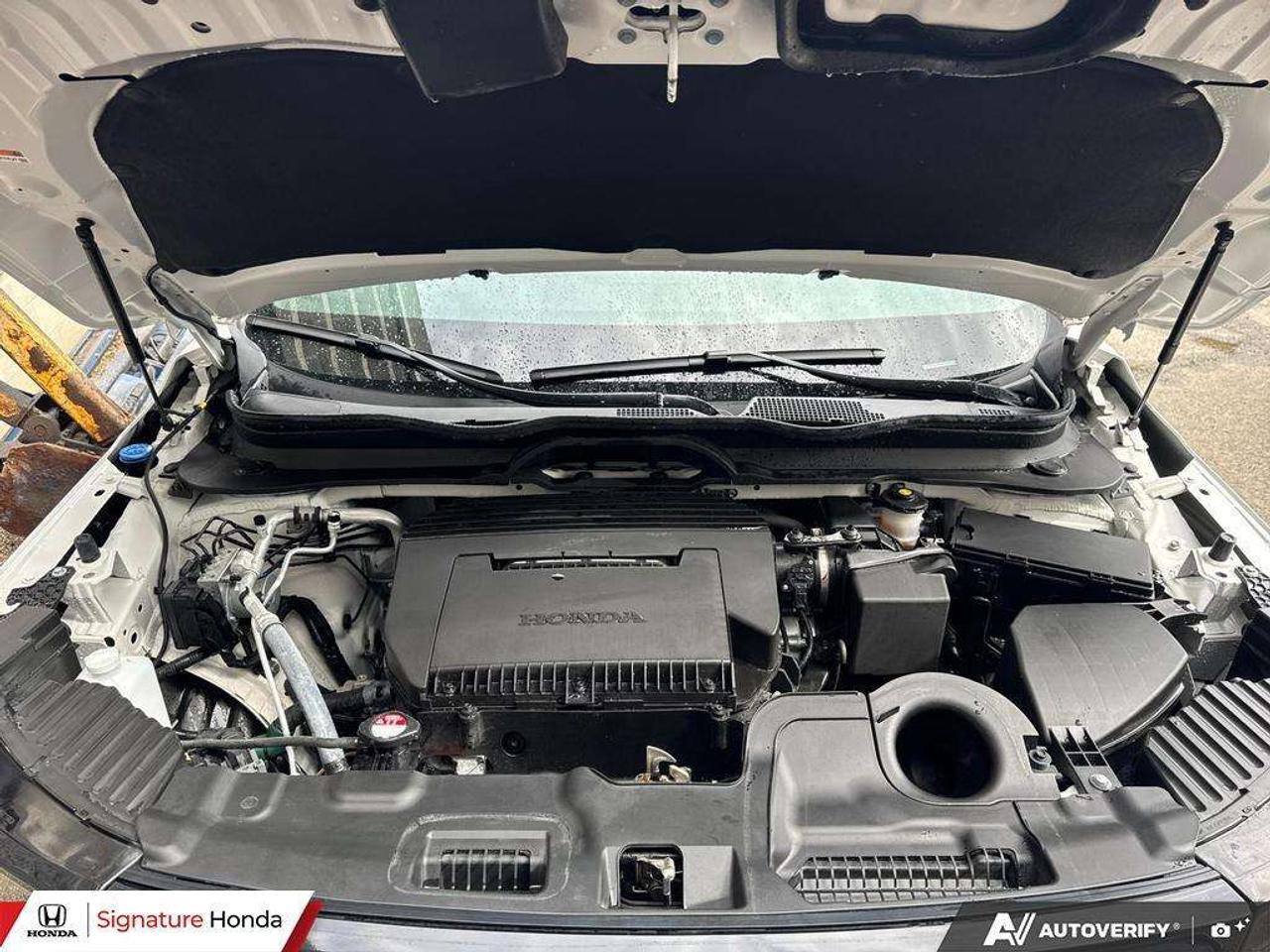 2026 Honda Passport TrailSport Touring Photo
