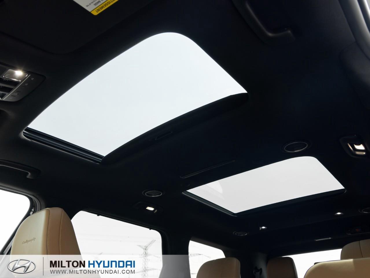2026 Hyundai PALISADE Ultimate Calligraphy 4dr All-Wheel Drive Photo