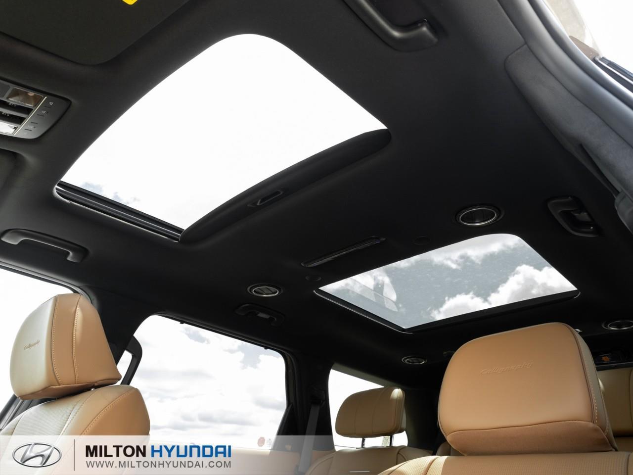 2026 Hyundai PALISADE Ultimate Calligraphy 4dr All-Wheel Drive Photo
