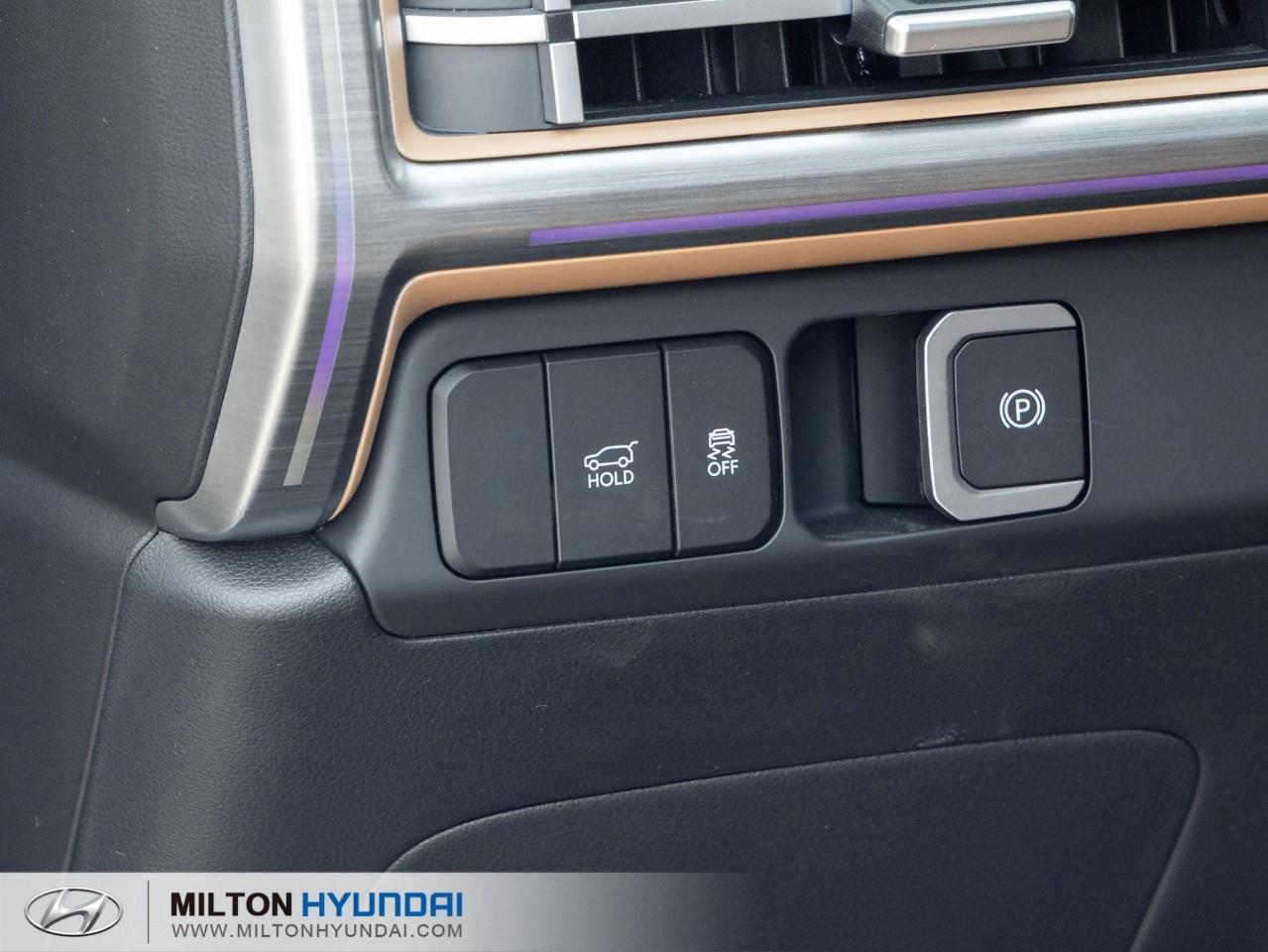2026 Hyundai Santa Fe HEV Luxury 4dr All-Wheel Drive Photo