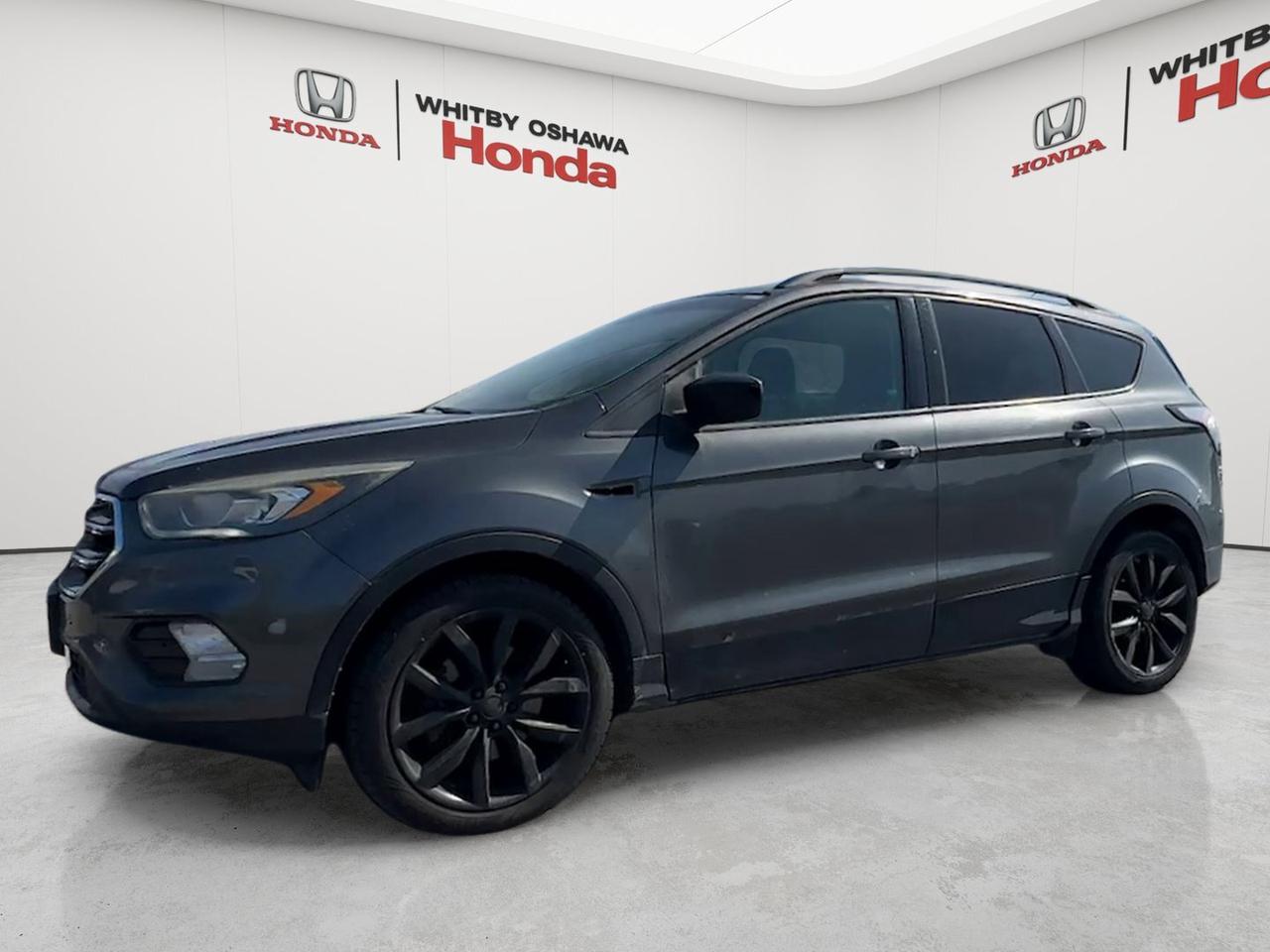 2017 Ford Escape 4WD 4dr SE Photo