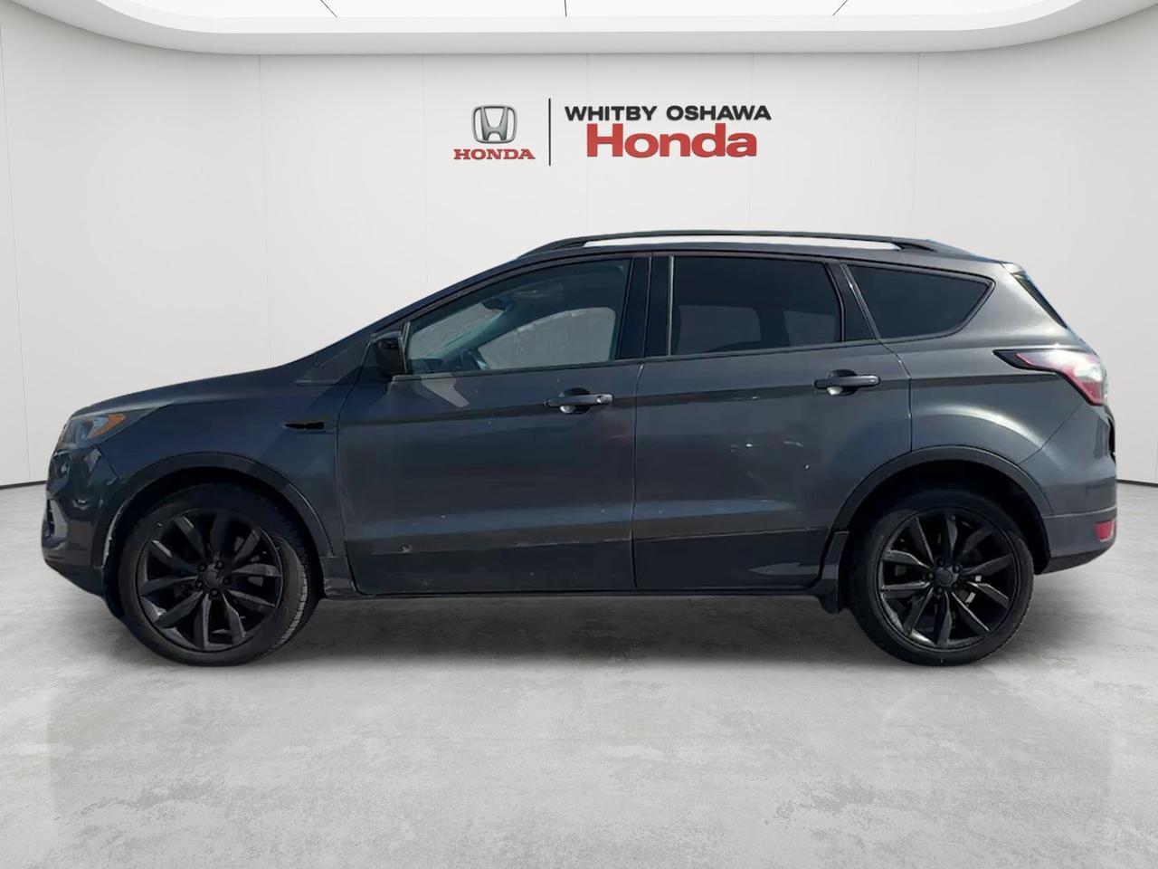 2017 Ford Escape 4WD 4dr SE Photo