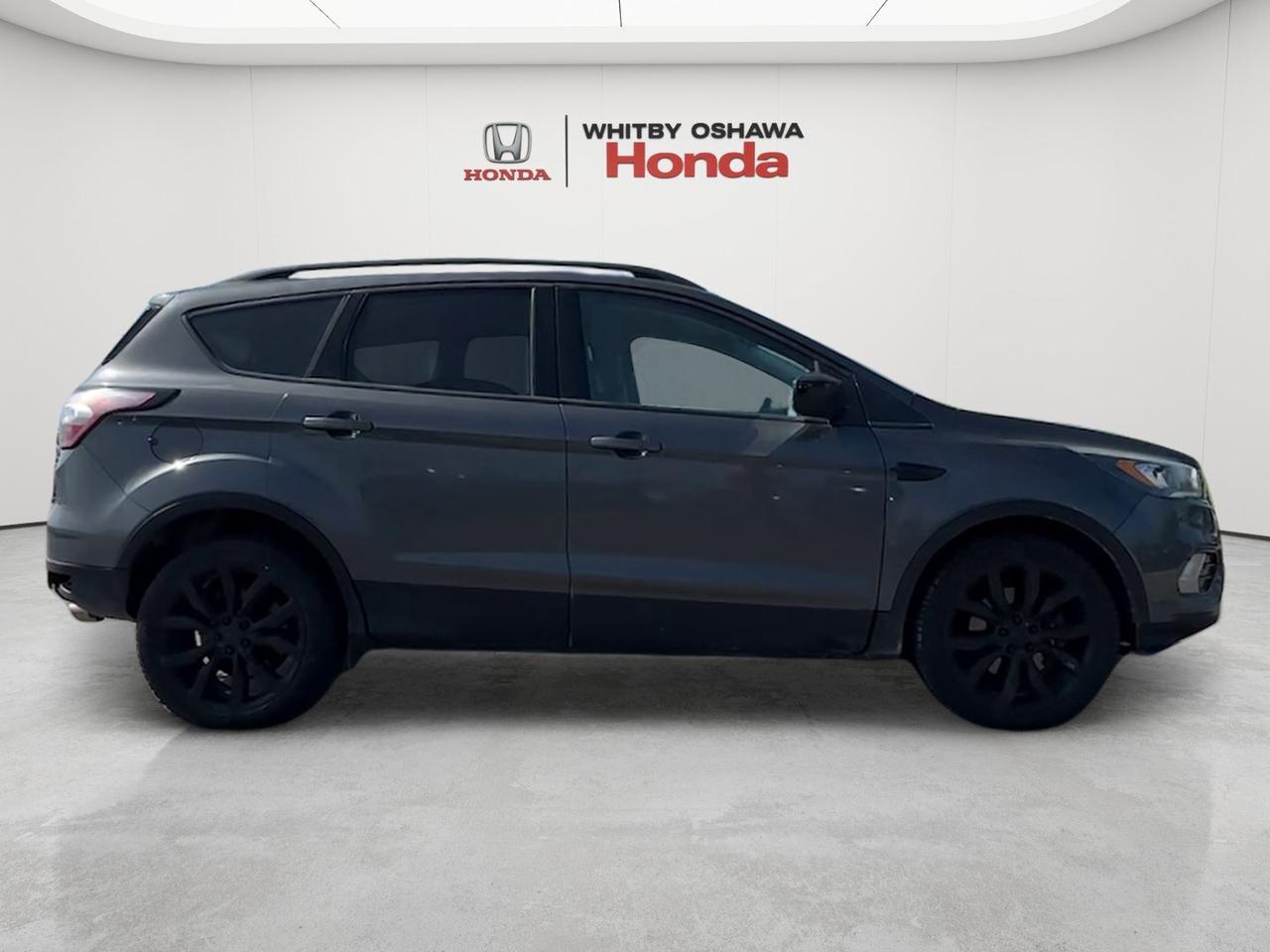 2017 Ford Escape 4WD 4dr SE Photo