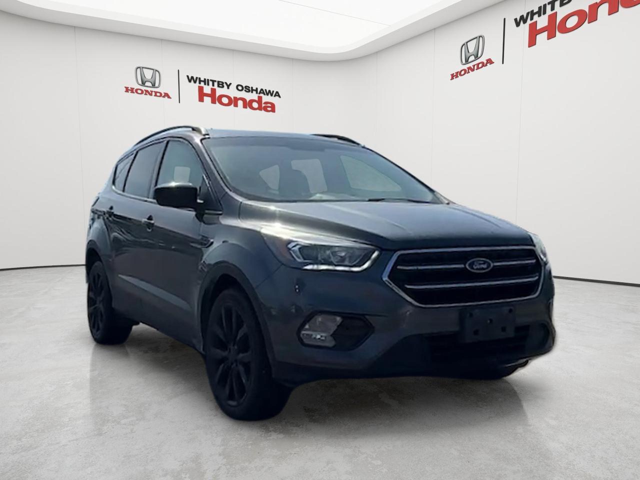 2017 Ford Escape 4WD 4dr SE Photo
