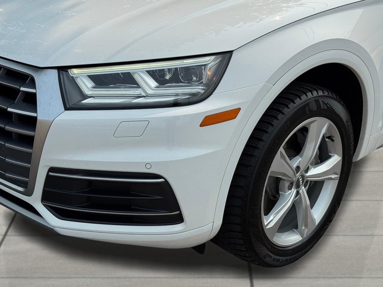 2019 Audi Q5 Progressiv Q5 Quattro+CLEAN CARFAX Photo