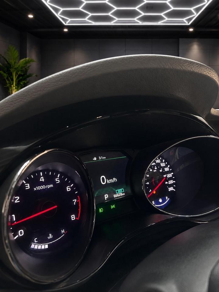 2019 Kia Sedona SXL FWD Photo