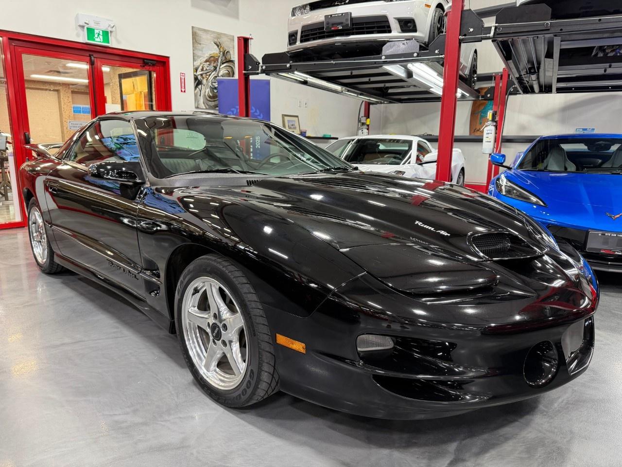 Used 1999 Pontiac Firebird 2dr Cpe Trans Am for sale in Brantford, ON