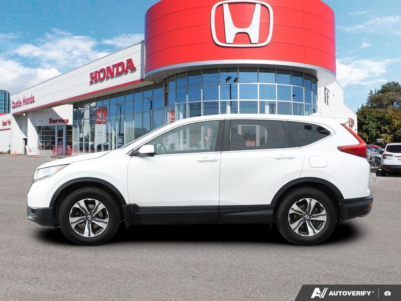 2019 Honda CR-V  Photo