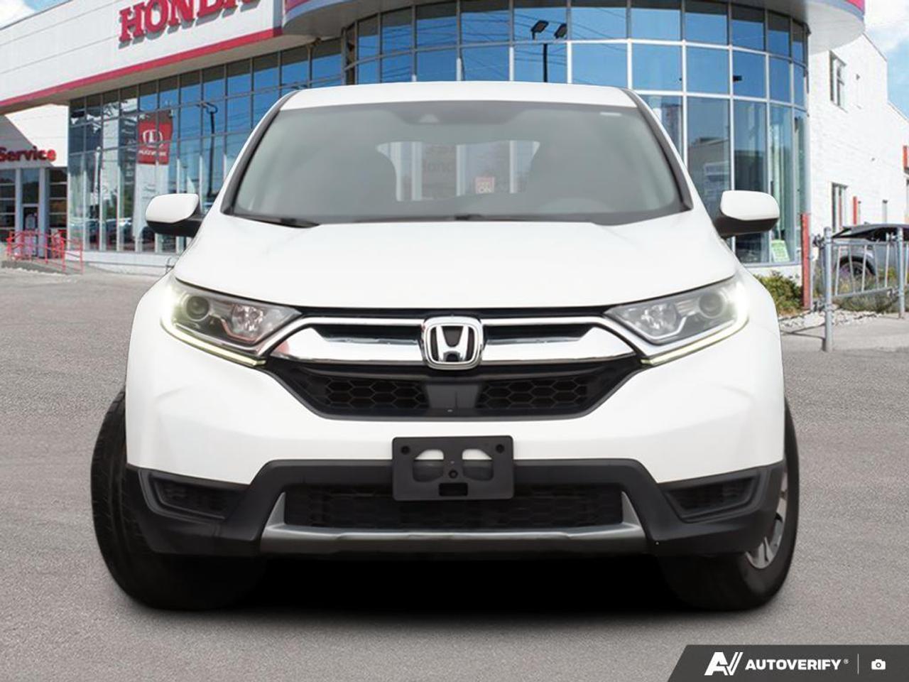 2019 Honda CR-V  Photo