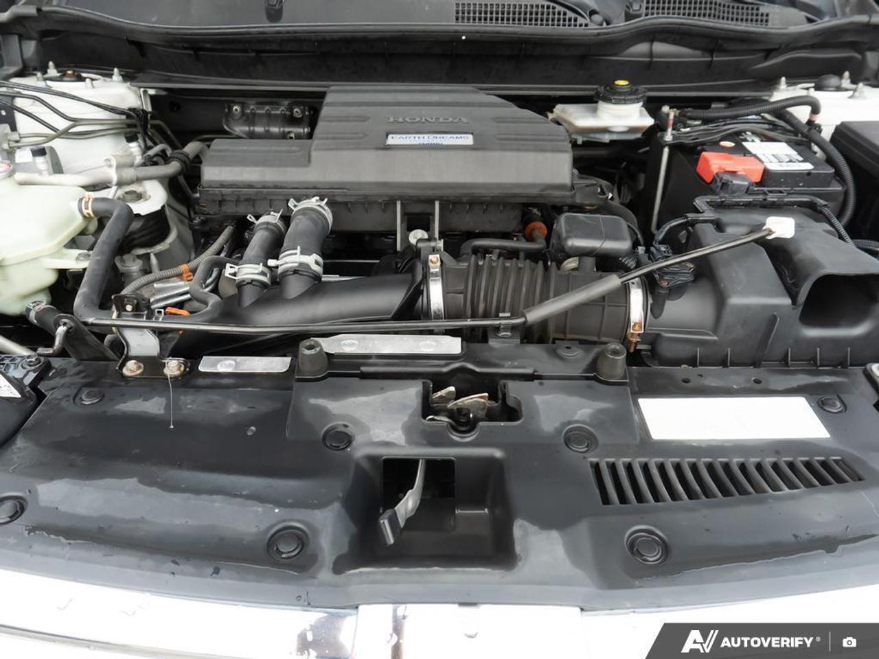 2019 Honda CR-V  Photo