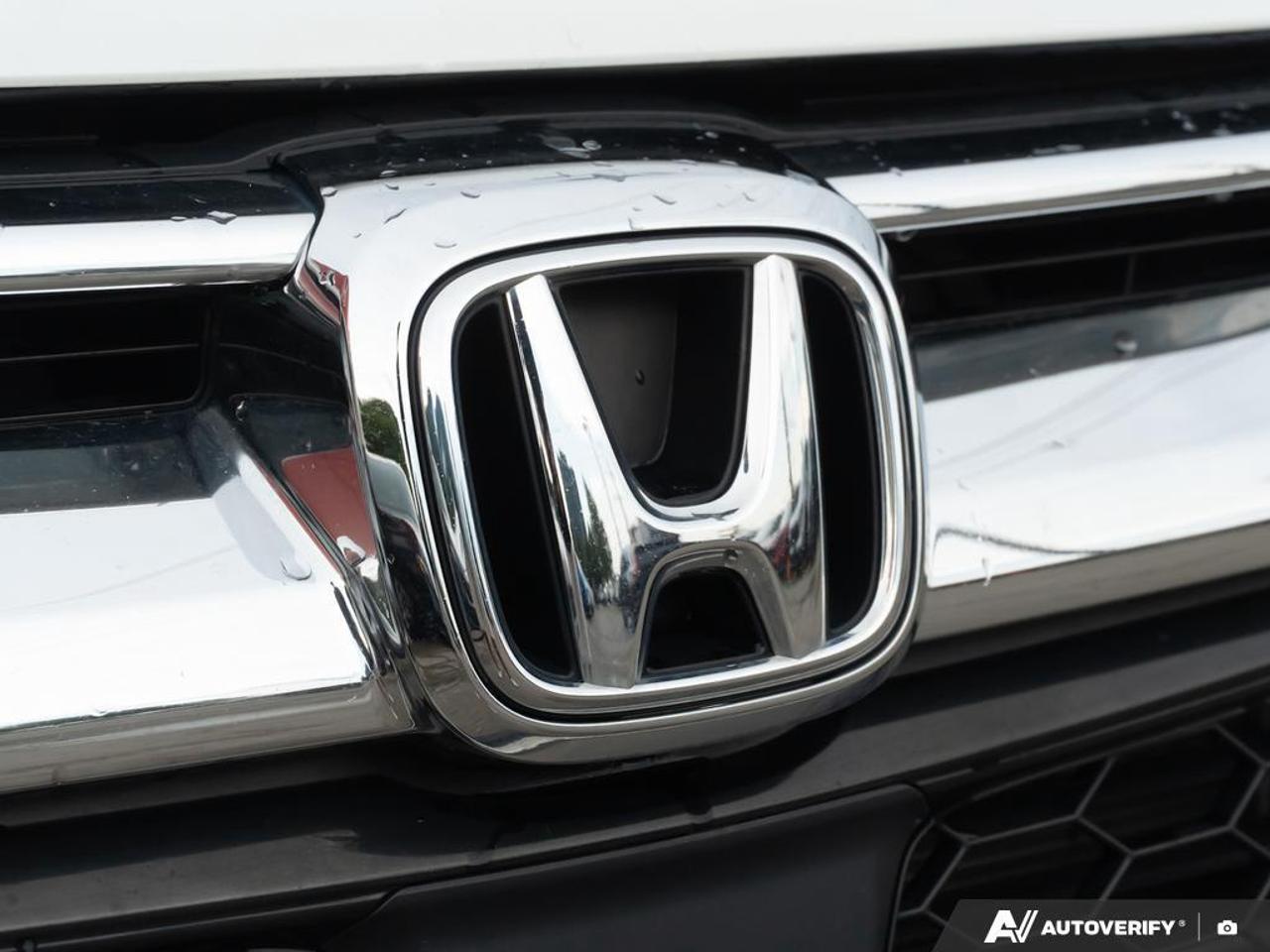 2019 Honda CR-V  Photo