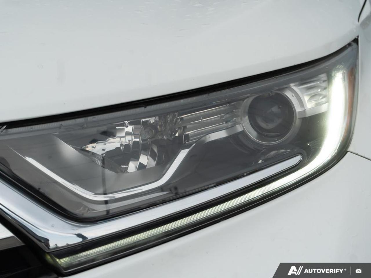 2019 Honda CR-V  Photo
